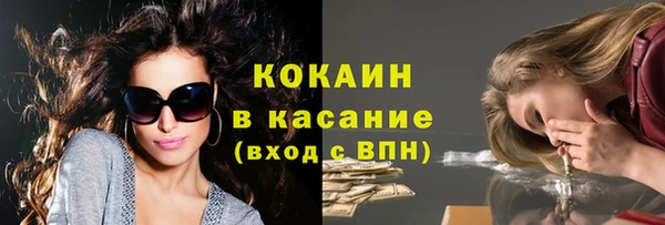прущие грибы Арсеньев
