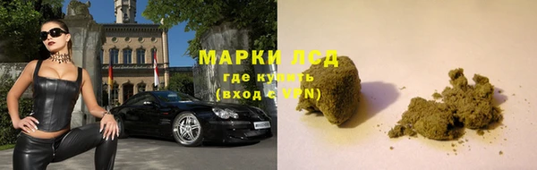 прущие грибы Арсеньев
