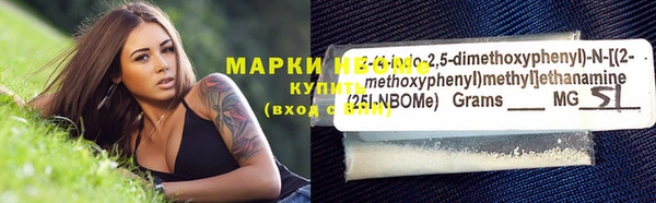 прущие грибы Арсеньев